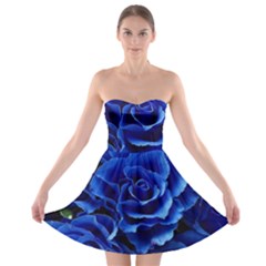 Blue Roses Flowers Plant Romance Blossom Bloom Nature Flora Petals Strapless Bra Top Dress by Bedest