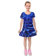 Blue Roses Flowers Plant Romance Blossom Bloom Nature Flora Petals Kids  Short Sleeve Velvet Dress by Bedest