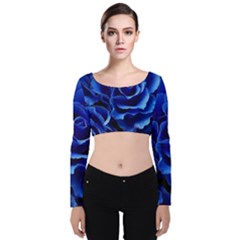 Blue Roses Flowers Plant Romance Blossom Bloom Nature Flora Petals Velvet Long Sleeve Crop Top by Bedest