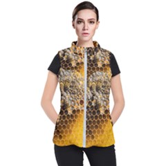 Honeycomb With Bees Women s Puffer Vest by Bedest