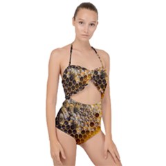 Honeycomb With Bees Scallop Top Cut Out Swimsuit by Bedest