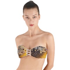 Honeycomb With Bees Twist Bandeau Bikini Top by Bedest