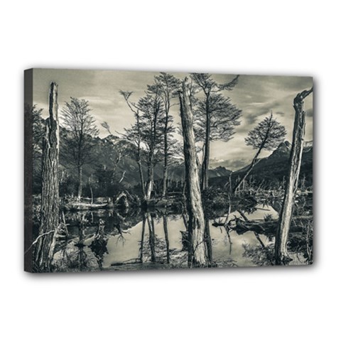 Dry Forest Landscape, Tierra Del Fuego, Argentina Canvas 18  X 12  (stretched) by dflcprintsclothing