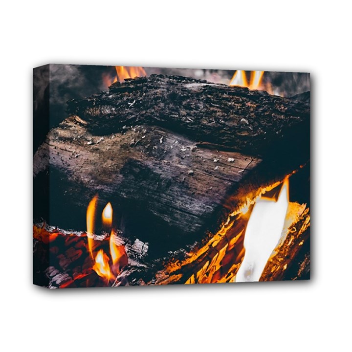 Wood Fire Camping Forest On Deluxe Canvas 14  x 11  (Stretched)