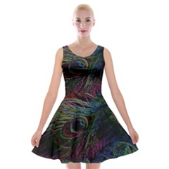 Peacock Feather Paradise Velvet Skater Dress