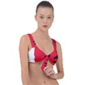 Watermelon Black Green Melon Red Front Tie Bikini Top View1