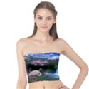 Flamingo Paradise Scenic Bird Fantasy Moon Paradise Waterfall Magical Nature Tube Top View1