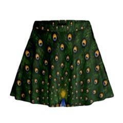 Peacock Feathers Tail Green Beautiful Bird Mini Flare Skirt by Ndabl3x