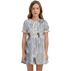 White Peacock Bird Kids  Sweet Collar Dress by Ndabl3x