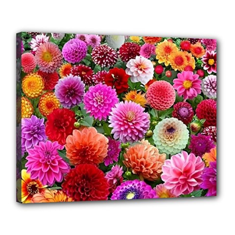 Flowers Colorful Garden Nature Canvas 20  X 16  (stretched) by Ndabl3x