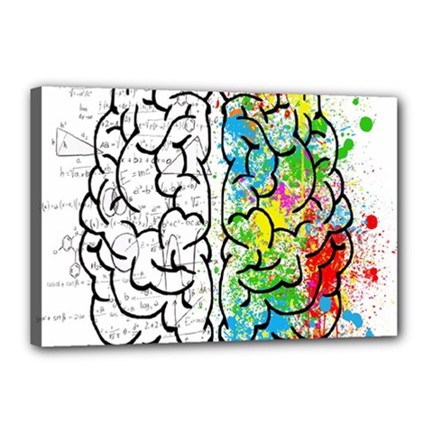 Brain Mind Psychology Idea Drawing Short Overalls Canvas 18  X 12  (stretched) by Azkajaya