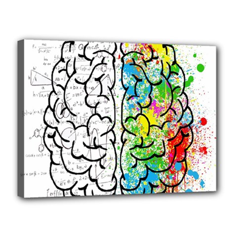 Brain Mind Psychology Idea Drawing Short Overalls Canvas 16  X 12  (stretched) by Azkajaya