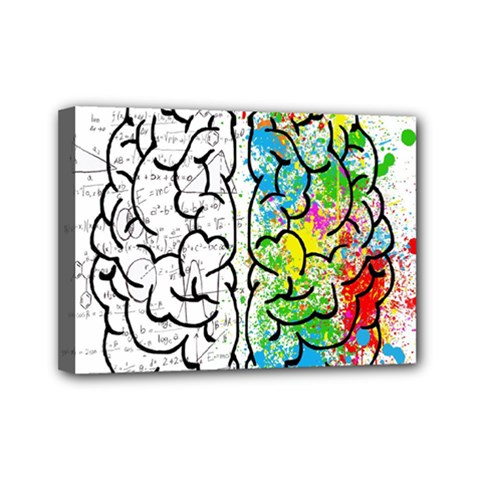 Brain Mind Psychology Idea Drawing Short Overalls Mini Canvas 7  X 5  (stretched) by Azkajaya