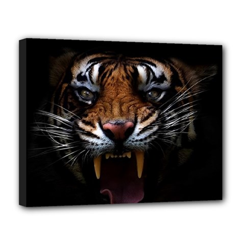 Tiger Angry Nima Face Wild Canvas 14  X 11  (stretched) by Cemarart