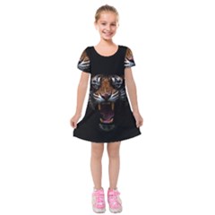 Tiger Angry Nima Face Wild Kids  Short Sleeve Velvet Dress by Cemarart