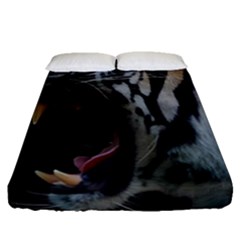 Angry Tiger Roar Fitted Sheet (queen Size) by Cemarart