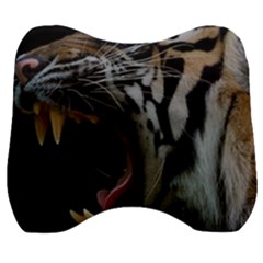 Angry Tiger Roar Velour Head Support Cushion by Cemarart