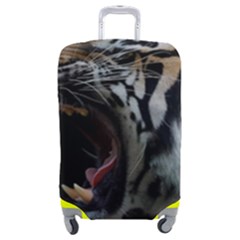 Angry Tiger Roar Luggage Cover (medium) by Cemarart