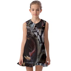 Angry Tiger Roar Kids  Pilgrim Collar Ruffle Hem Dress by Cemarart