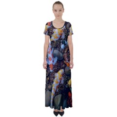 Koi Fish Clown Pool Stone High Waist Short Sleeve Maxi Dress by Cemarart