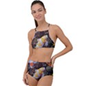 Koi Fish Clown Pool Stone Halter Tankini Set View1