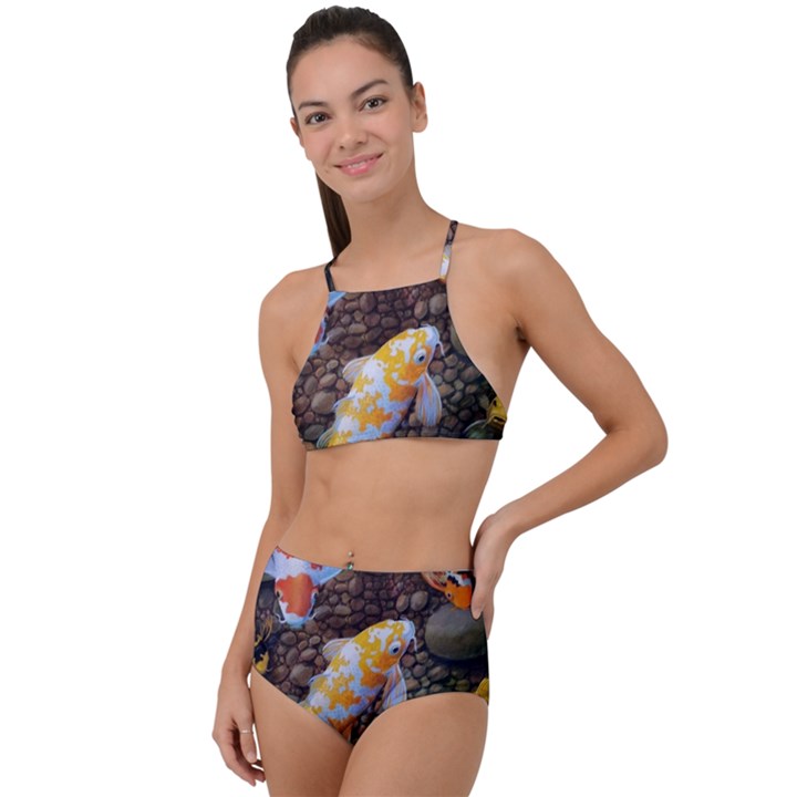 Koi Fish Clown Pool Stone Halter Tankini Set