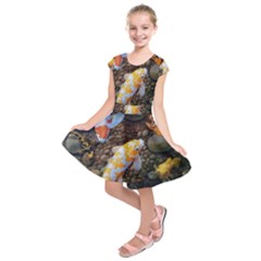 Koi Fish Clown Pool Stone Kids  Short Sleeve Dress by Cemarart