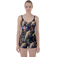 Koi Fish Clown Pool Stone Tie Front Two Piece Tankini