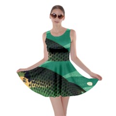 Japanese Koi Fish Skater Dress