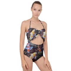 Koi Fish Clown Pool Stone Scallop Top Cut Out Swimsuit by Cemarart