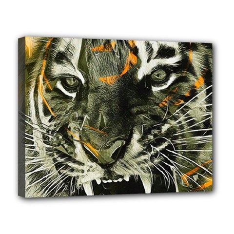 Angry Tiger Animal Broken Glasses Canvas 14  X 11  (stretched) by Cemarart