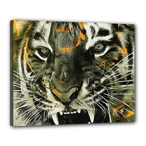 Angry Tiger Animal Broken Glasses Canvas 20  X 16  (stretched) by Cemarart