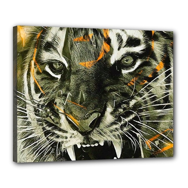 Angry Tiger Animal Broken Glasses Canvas 20  x 16  (Stretched)