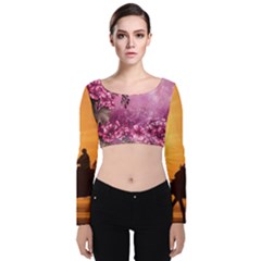 24 Rise  Velvet Long Sleeve Crop Top by Asomg