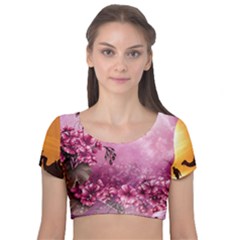 24 Rise  Velvet Short Sleeve Crop Top  by Asomg