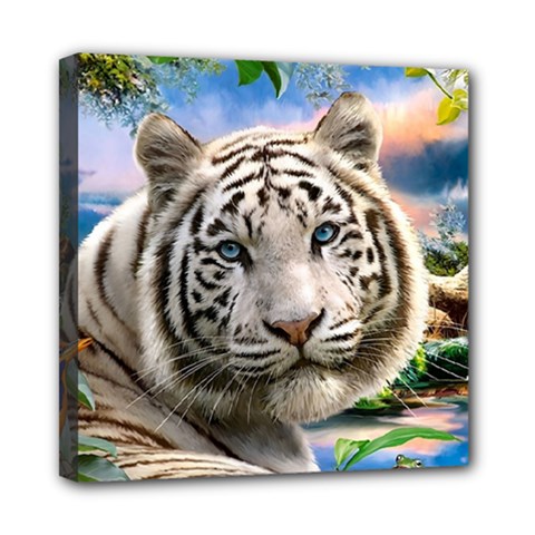 White Tiger Peacock Animal Fantasy Water Summer Mini Canvas 8  X 8  (stretched) by Cemarart