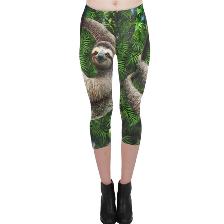 Sloth In Jungle Art Animal Fantasy Capri Leggings 