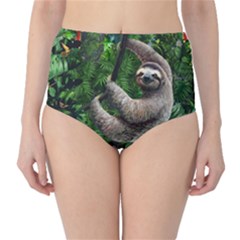 Sloth In Jungle Art Animal Fantasy Classic High-waist Bikini Bottoms by Cemarart