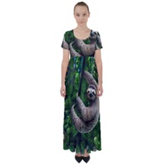 Sloth In Jungle Art Animal Fantasy High Waist Short Sleeve Maxi Dress by Cemarart