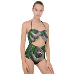 Sloth In Jungle Art Animal Fantasy Scallop Top Cut Out Swimsuit by Cemarart