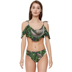 Sloth In Jungle Art Animal Fantasy Ruffle Edge Tie Up Bikini Set	 by Cemarart