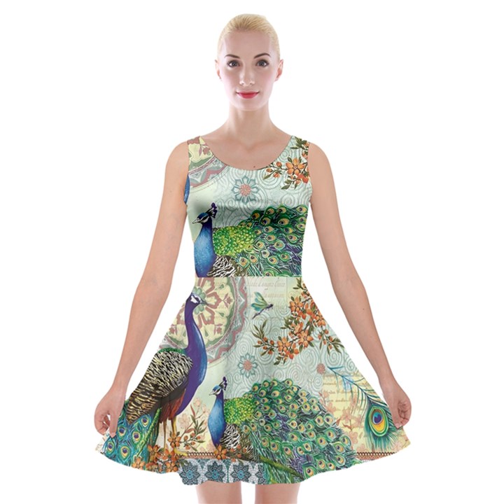 Royal Peacock Feather Art Fantasy Velvet Skater Dress