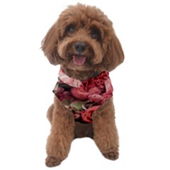 Pink Roses, Flowers, Love, Nature Dog Sweater