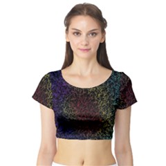 Minimal Glory Short Sleeve Crop Top