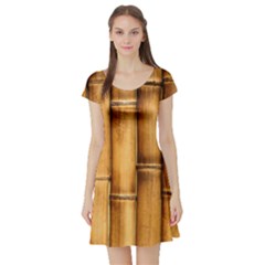 Brown Bamboo Texture  Short Sleeve Skater Dress