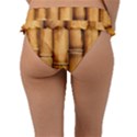 Brown Bamboo Texture  Frill Bikini Bottoms View2