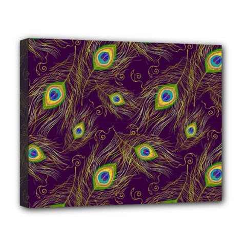 Feathers, Peacock, Patterns, Colorful Deluxe Canvas 20  X 16  (stretched)