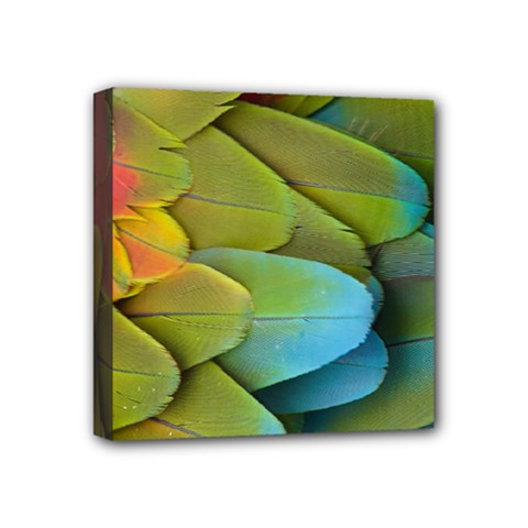 Parrot Feathers Texture Feathers Backgrounds Mini Canvas 4  X 4  (stretched) by nateshop