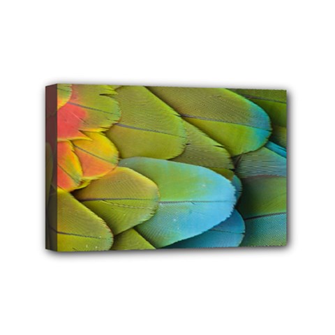 Parrot Feathers Texture Feathers Backgrounds Mini Canvas 6  X 4  (stretched) by nateshop