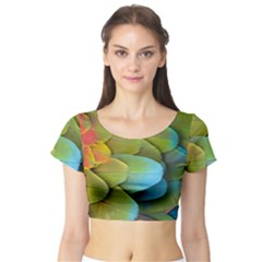 Parrot Feathers Texture Feathers Backgrounds Short Sleeve Crop Top by nateshop